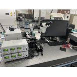Nikon Scope w/ Thorlabs Controllers