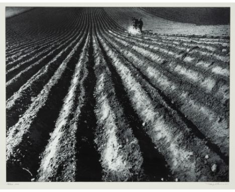 Häusser, RobertStuttgart, 1924 - Mannheim, 201345 x 58 cm, R."Acker", 1950. Silbergelatineabzug auf Fotopapier. In Bleistift 