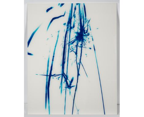 Nicolai, CarstenKarl-Marx-Stadt, 1965100 x 80 cm, o. R."Funken 13", 2003. Cibachrome Abzug auf Alu-Dibond. In Faserstift rück