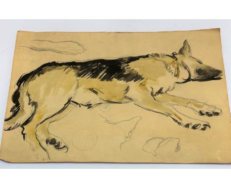 Geoffrey Squire, (British 1923-2012), Alsatian, charcoal sketch highlighted with wash, (27 x 37) unframed