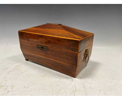 A Regency rosewood sarcophagus tea caddy 19cm x 30cm x 15cmone ball foot missing, ring mask handle loose but present