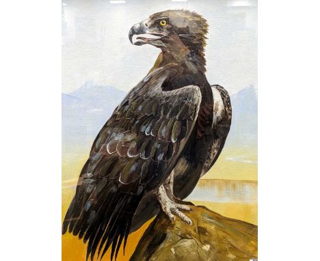 Pip McGarry (1955-) Roosting Eaglesigned and dated 'Pip McGarry / 11-8-82' (lower right)oil on canvas board75 x 62cmDated 198