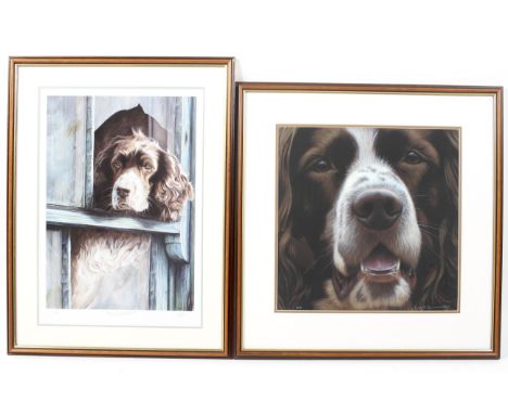P. Doyle signed print of a spaniel, limited edition titled 'It Wasn't Me', 369/500 and another signed print of a spaniel's fa