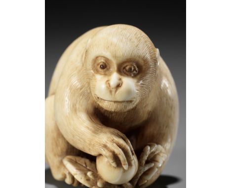 OKATORI: A FINE IVORY NETSUKE OF A MONKEY WITH A PEACHBy Yamaguchi Okatori, signed Okatori 岡隹Japan, Kyoto, early 19th century