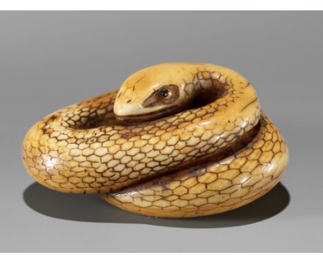 A RARE IVORY NETSUKE OF A COILED SNAKEUnsignedJapan, 18th century, Edo period (1615-1868)Published: Sagemonoya (2022), The Ga