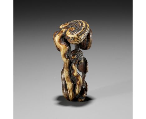 A STAG ANTLER NETSUKE OF REISHI FUNGIUnsigned Japan, 19th centuryWell carved as six reishi heads of varying sizes borne on gn