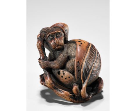 TOYOSHIMA: A FINE WOOD NETSUKE OF A MONKEY EMERGING FROM A PEACHBy Toyoshima, signed Toyoshima 豊嶋Japan, Sasayama, Tanba Provi