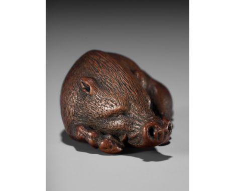 ITTAN: A SUPERB WOOD NETSUKE OF A LONG-SNOUTED WILD BOARBy Ittan, signed Ittan sanjin 一旦山人 Japan, Nagoya, c. 1865A finely sta