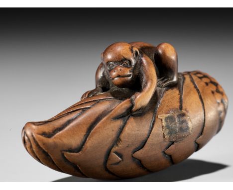 A FINE WOOD NETSUKE OF A MONKEY ON BAMBOO SHOOTUnsignedJapan, late 18th century, Edo period (1615-1868)The monkey (saru) clim