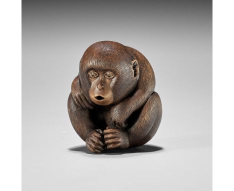 SHION: A WOOD NETSUKE OF A MONKEYBy Shion, signed Shion 紫苑Japan, Mie Prefecture, 21st centuryA well-carved compact netsuke de