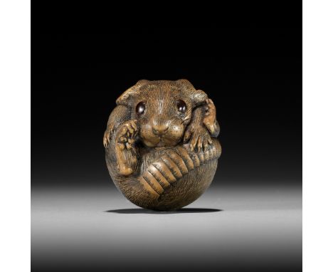 KINSUI: A CONTEMPORARY WOOD NETSUKE OF A COILED RATBy Kinichi Kawase (born 1926), signed Kinsui 欽水Japan, Mie prefecture, seco