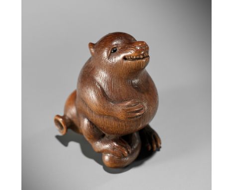 RANSEN: A FINE WOOD NETSUKE OF A DRUNKEN TANUKI HARA NO TSUZUMIBy Ransen, signed Ransen 蘭川Japan, Kyoto, first half of 19th ce