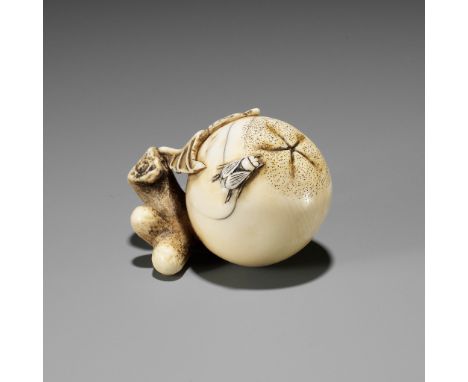 MITSUHIRO: AN IVORY NETSUKE OF A FLY ON A BIWA (LOQUAT)By Ohara Mitsuhiro (1810-1875), signed Mitsuhiro 光廣 with kakihanJapan,