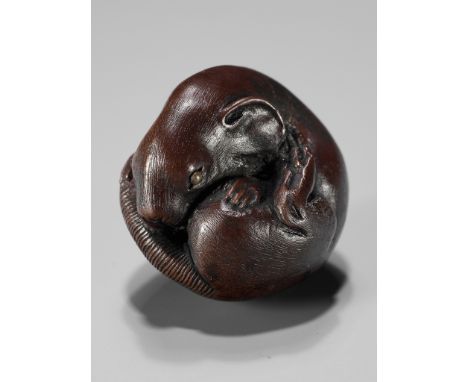 YOSHIHISA: A FINE WOOD NETSUKE OF A COILED RATBy Yoshihisa, signed Yoshihisa 義久Japan, Nagoya, early 19th century, Edo period 