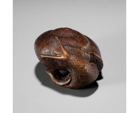 YASUTADA: A RARE WOOD NETSUKE OF A SNAIL EMERGING FROM ITS SHELLBy Yasutada, signed Yasutada 安忠Japan, late 18th to early 19th