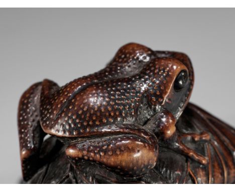 A FINE WOOD NETSUKE OF A TOAD ON A LOTUS LEAFUnsignedJapan, first half of 19th century, Edo period (1615-1868)Finely carved a