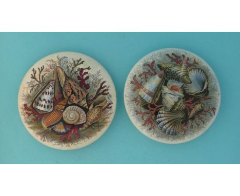 Shells (52B and 52J) (2) (potlid  pot lid  prattware) 