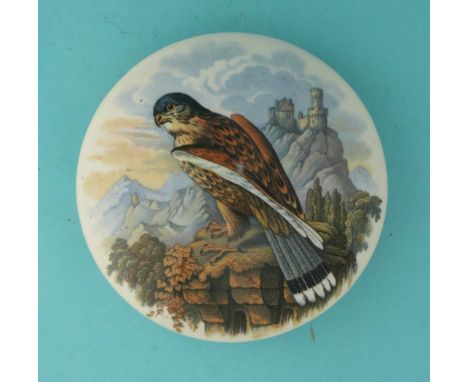 The Kestrel (287) (potlid  pot lid  prattware) 