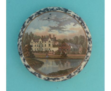 Sandringham (181) large Illustrated (potlid  pot lid  prattware) 