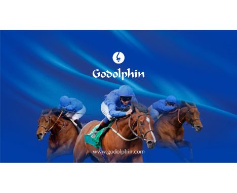 Courtesy of Godolphin
A private tour of Dalham Hall Stud in Newmarket with an afternoon’s racing and hospitality at the Rowle