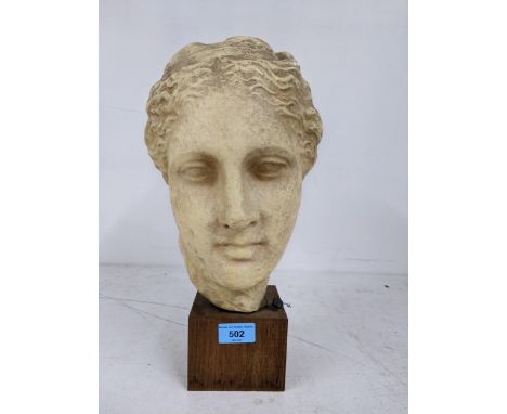 Head of health ancient Hygieia Greek goddess of Health Head statue believed to be work of Skopa, a hollow ceramic head on woo