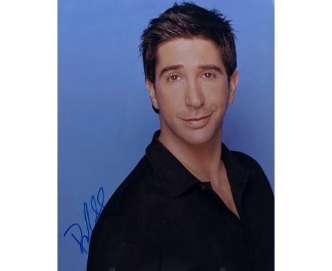 David Schwimmer - Friends - autographed 8x10" colour photograph of Schwimmer as Ross in the American sitcom. Signed neatly in