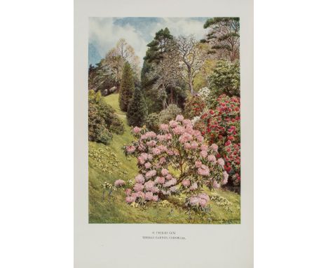 Millais (J.G.) - Rhododendrons..., 2 vol.,   first edition, numbers 420 and 424 respectively of 550  ,   frontispieces, 32 co