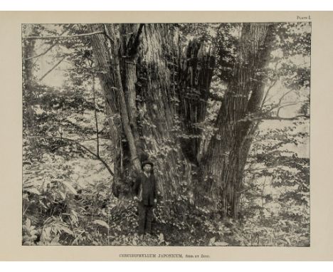 Kurata (Satoru) - Illustrated Important Forest Trees of Japan, 5 vol.,   second edition of vol.1, the rest   first editions ,