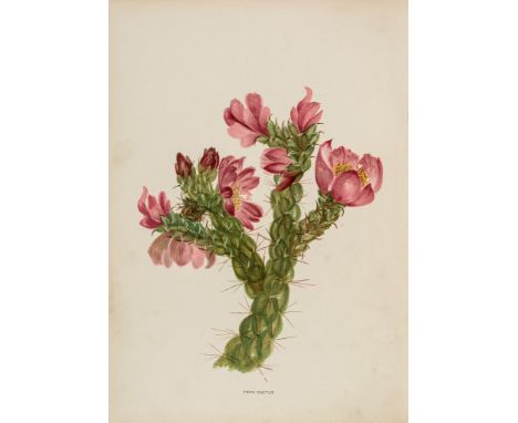 Thayer (Emma Homan) - Wild Flowers of Colorado,  first edition  ,   24 chromolithographed plates, some light spotting and soi