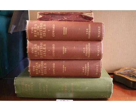 Set of 3 The Birds of the British Isles by Coward, British Birds in Their Haunts and 1901 Manual of Military Engineering 