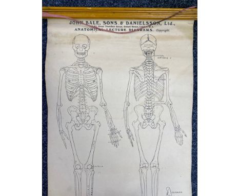 Anatomical Lecture Diagrams, a wall chart containing 13 posters, stamped RAMC Poona, creasing/tears as found, London: John Ba