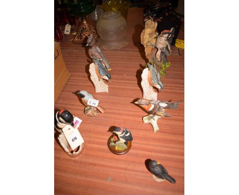 A collection of eight ceramic models of various birds, mostly by Goebel; and another in painted cast resin.