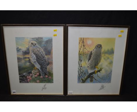 Colour photolithograph, after James Alder - a peregrine falcon, signed in pencil, numbered 71/500; together with a similar pr