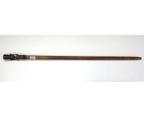 An interesting monocular walking stick.