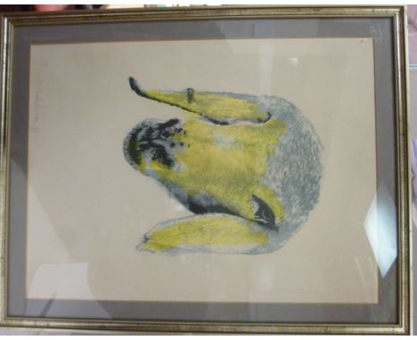 After M Kadeshman - 'Nubian Goat' artist's proof  lithograph  bears a pencil signature & dated '81  24'' x 18'' in a glazed g
