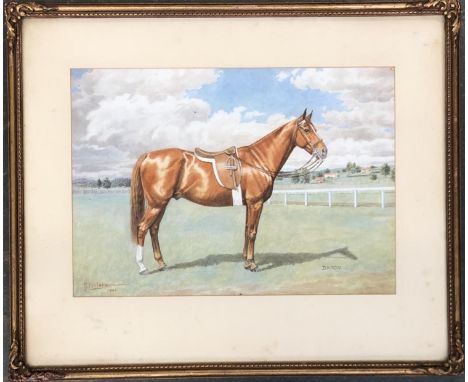 M Finlayson, 'Dandy', watercolour study of a chestnut horse, signed and dated 1946, 23x32.5cm 
