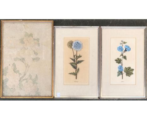 A pair of hand coloured botanical prints 'Echinops' and 'Althaea', each 23.5x12.5cm; together with a faded Japanese print of 