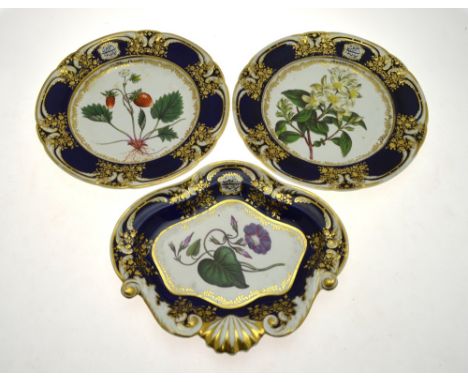 Two Chamberlain's Worcester plates, 26 cm and matching shaped dish each painted with flowers (botanical names on reverse), pa