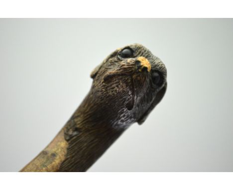 A carved hazel walking stick with carved dog's head pommel and brown glass eyes Condition Report Nose chipped, very slight ch