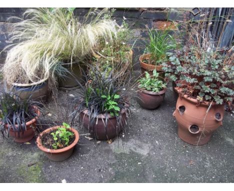 A SELECTION OF TEN PLANTERS TO INCLUDE CERAMIC AND TERRACOTTA