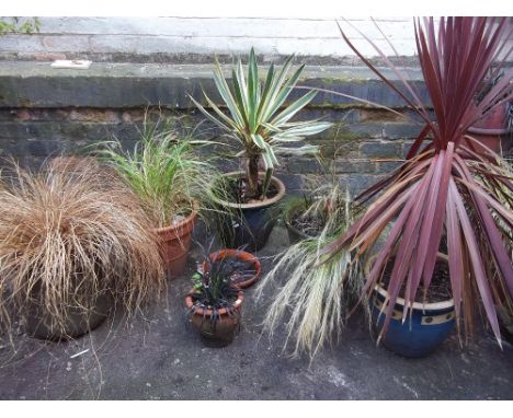 A SELECTION OF SIX PLANTERS INCLUDING CERAMIC AND TERRACOTTA EXAMPLES