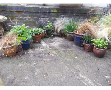 A SELECTION OF TEN PLANTERS TO INCLUDE CERAMIC AND TERRACOTTA