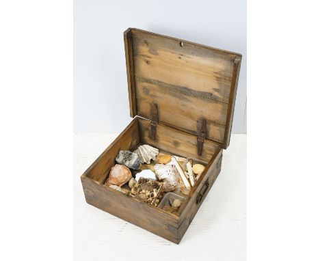 Vintage pine box, containing a selection of shells, crystals etc 