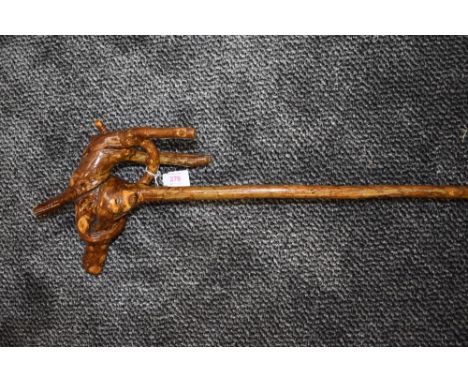 An unusual walking stick having knotted root  like handle.