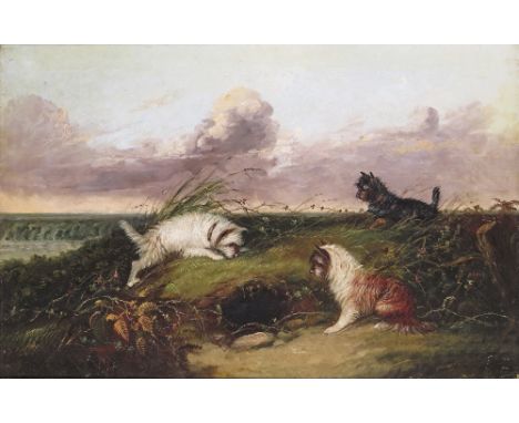 J. Langlois (1855-1904) Terriers rabbiting, waiting at a rabbit hole Oil on canvas Signed 51 x 76cm; 20 x 30in ++Unlined, str