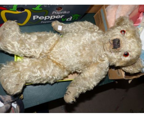 An early/mid 20th century long haired plush teddy bear with glass eyes, felt pads, and growl, length 19"