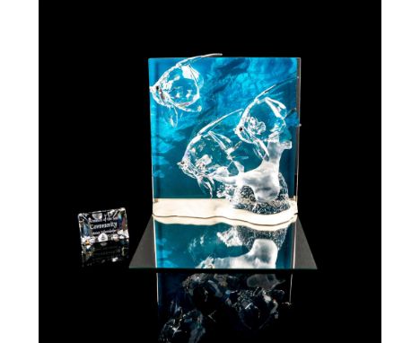 Part of the 'Wonders of the Sea' trilogy. Clear tropical fishes swimming through a frosted coral reef. Includes 'Wonders of t
