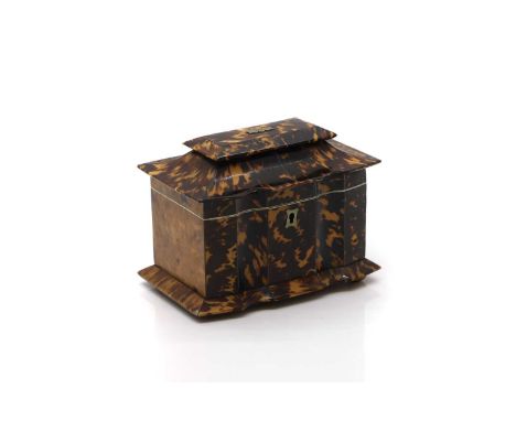 A Regency tortoiseshell tea caddy the interior with ivory borders and handles, 17cm wide11cm deep14cm highIMPORTANT NOTE  Thi