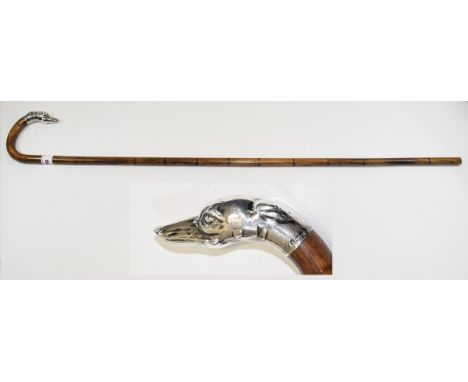 Antique Silver Topped Bamboo Cane / Walking Stick, The Top In The Form of a Greyhounds Head. Hallmark Birmingham 1915. 34 Inc