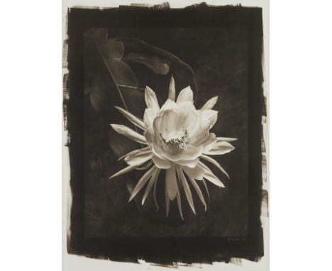 Cy DeCosse (American, b. 1929). Hand coated platinum palladium print photograph titled "Queen of the Night," depicting a flow